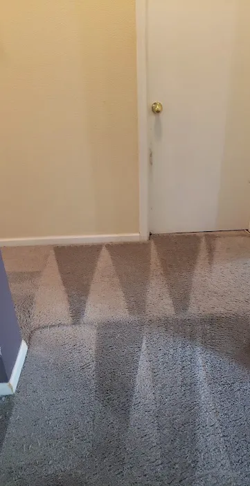 High Performance Carpet Cleaning Picture 3