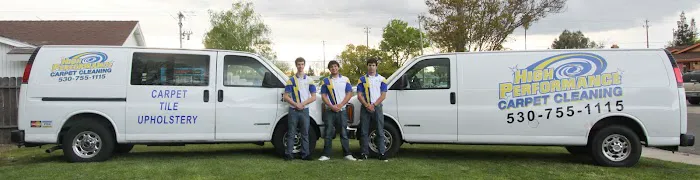 High Performance Carpet Cleaning Picture 1