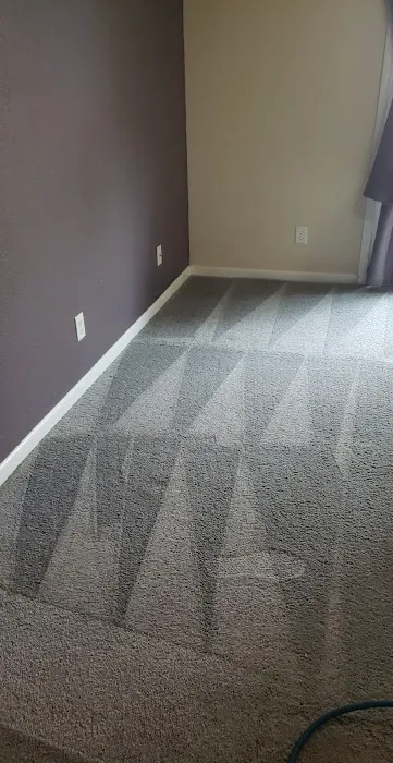 High Performance Carpet Cleaning Picture 4