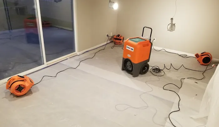 911 Restoration of Chico Picture 9