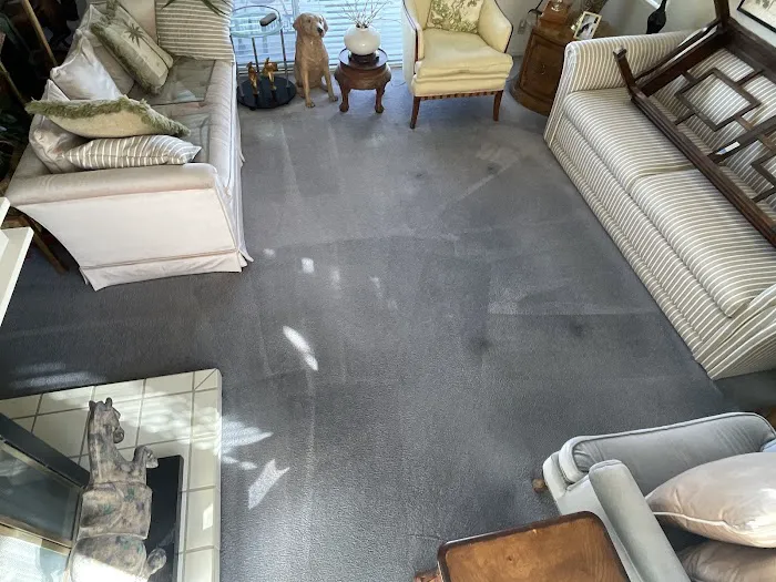 Stanley Steemer Picture 3