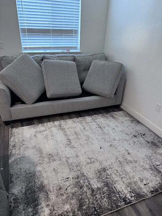 Stanley Steemer Picture 5