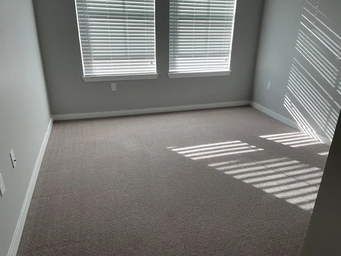 Stanley Steemer Picture 8