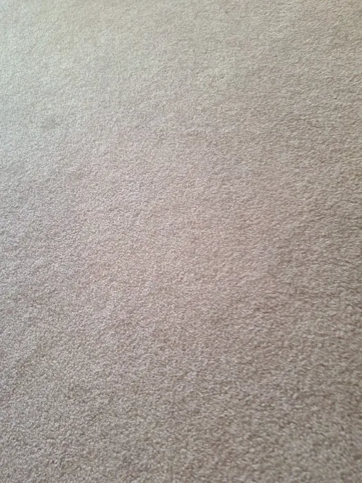 Carpet Restoration Company Picture 10