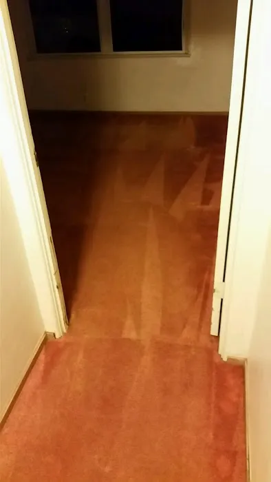 Carpet Restoration Company Picture 6