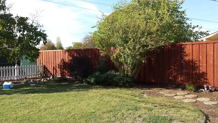 Speedy-Clean Painting & Pressure Washing Picture 10