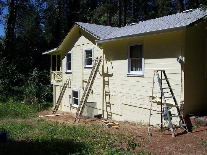 Speedy-Clean Painting & Pressure Washing Picture 4