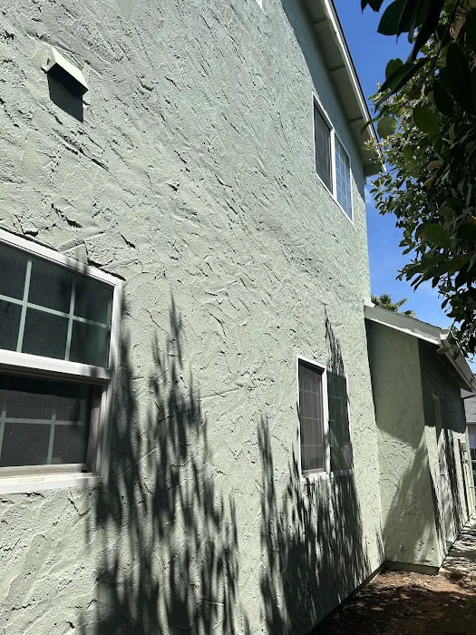 Quickpaint Chico Picture 6