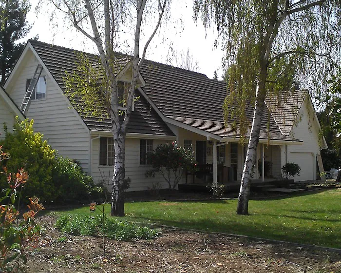 Royal Painting Picture 10