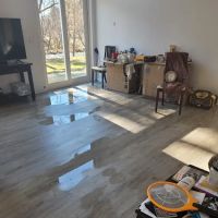 ER Disaster Services ico