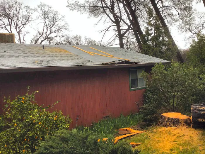 SERVPRO of North Shasta, Trinity & Greater Tehama Counties Picture 6