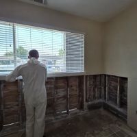 Rush Relief Restoration Services ico