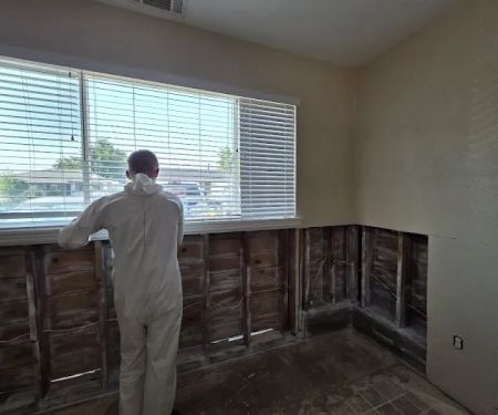 Rush Relief Restoration Services