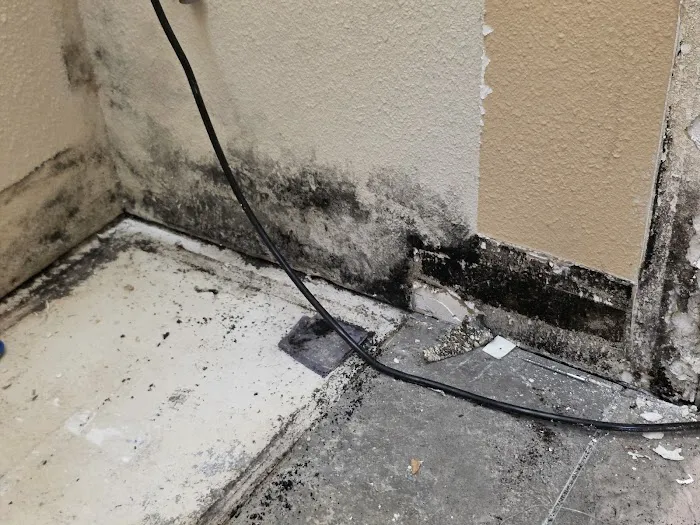 Rush Relief Restoration Services Picture 6