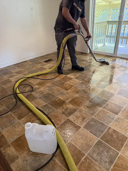 Stanley Steemer Picture 2