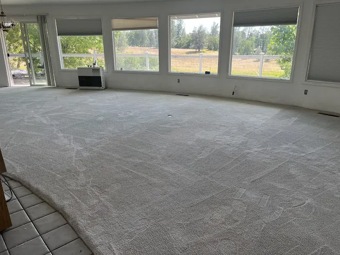 Stanley Steemer Picture 7