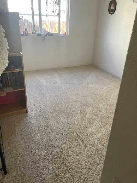 COIT Cleaning and Restoration Picture 4