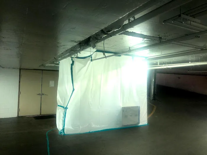 COIT Cleaning and Restoration Picture 5