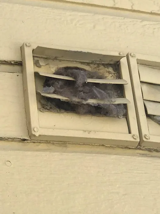 Full Steam Ahead LLC Picture 3