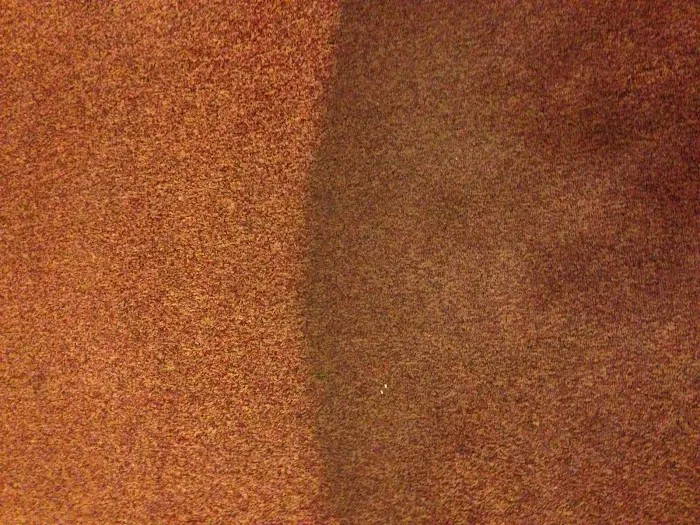 Full Steam Ahead LLC Picture 5