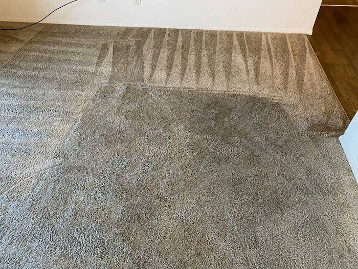 Full Steam Ahead LLC Picture 10