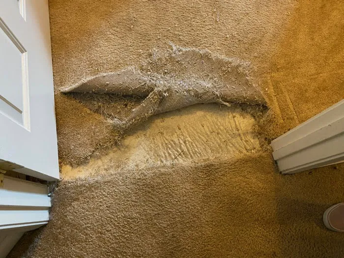 Full Steam Ahead LLC Picture 9