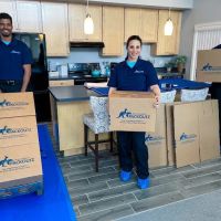 Blue Kangaroo Packoutz of Northern NV ico