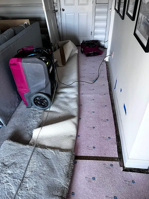 PuroClean of South Reno Picture 1