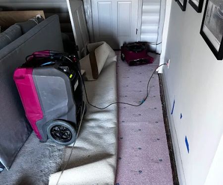 PuroClean of South Reno