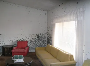 REDS Fire and Flood Picture 9