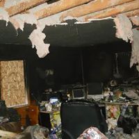 REDS Fire and Flood ico