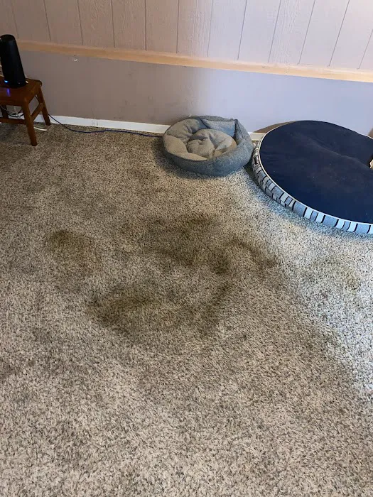 New Sunrise Cleaning and Restoration Picture 3