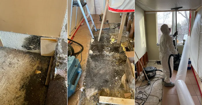 New Sunrise Cleaning and Restoration Picture 10