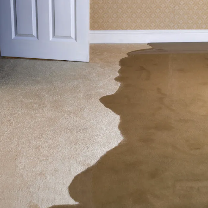 Rainbow International of Reno Picture 10