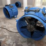 Rainbow International of Reno