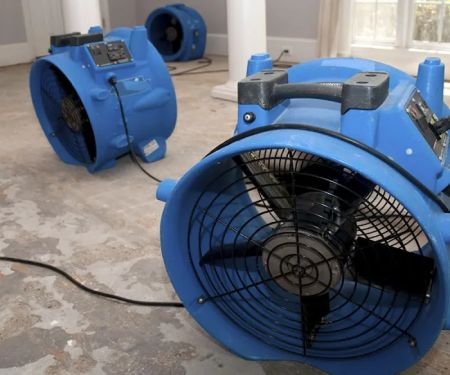 Rainbow International of Reno