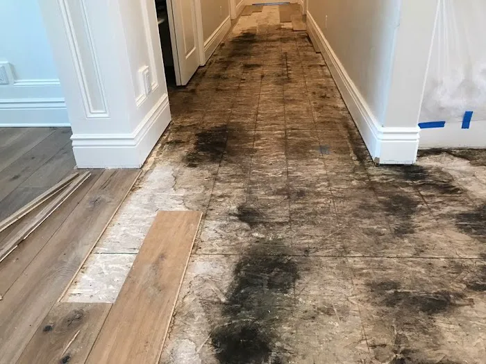 First Call Cleaning and Restoration Picture 9