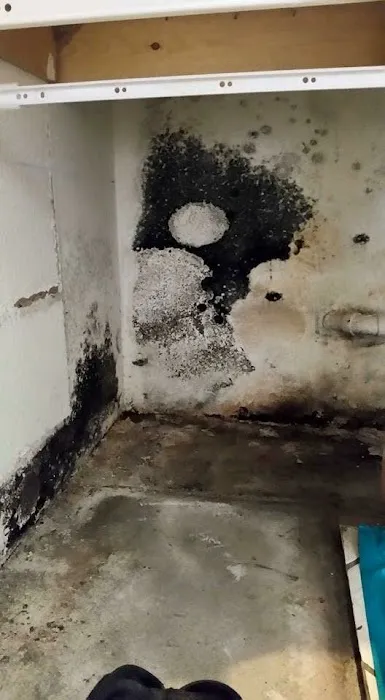 First Call Cleaning and Restoration Picture 7