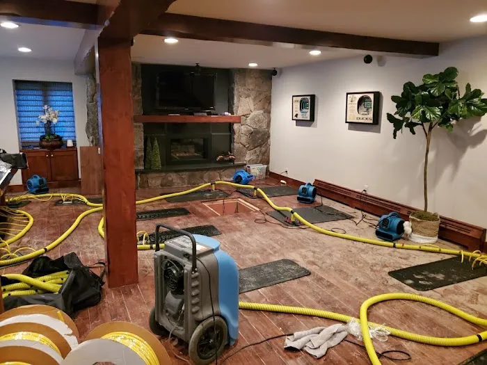 SuperBest Water Damage & Flood Repair Reno Picture 4