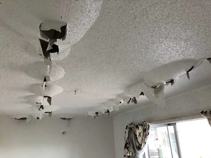 SuperBest Water Damage & Flood Repair Reno Picture 6