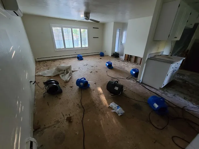 SuperBest Water Damage & Flood Repair Reno Picture 3