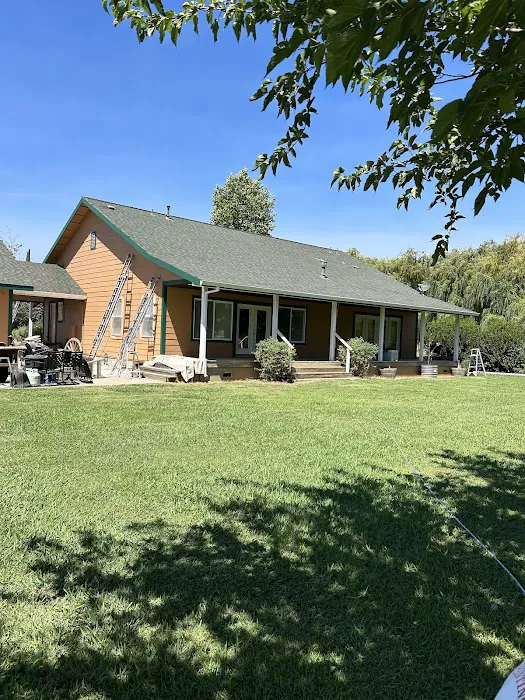 David Sieker Painting Picture 7