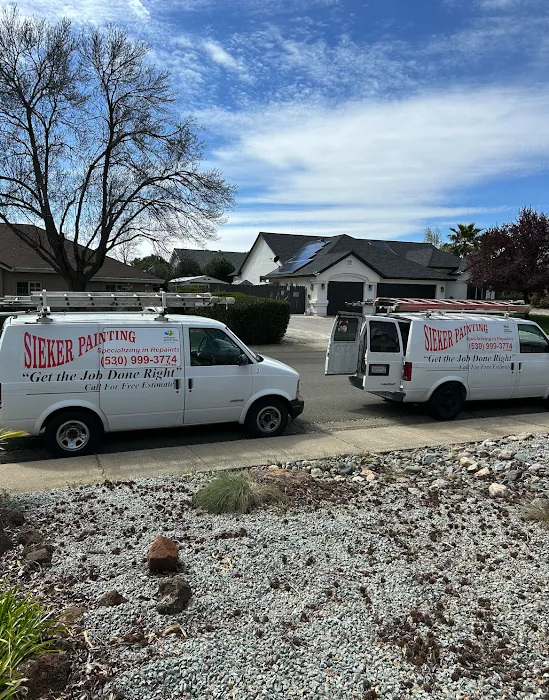 David Sieker Painting Picture 10