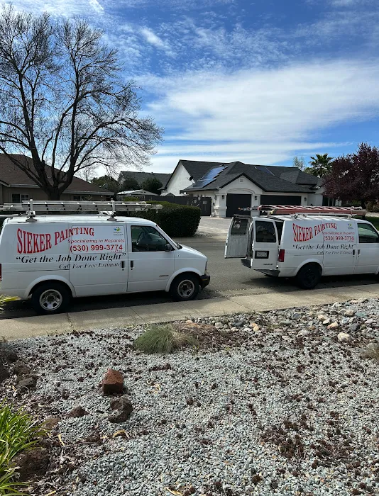 David Sieker Painting Picture 9