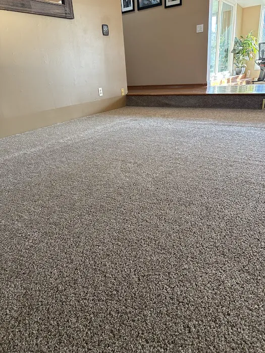 All-American Carpet Care Picture 1