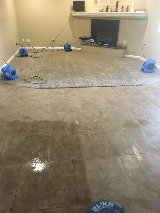 All-American Carpet Care Picture 3