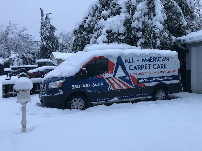All-American Carpet Care Picture 10