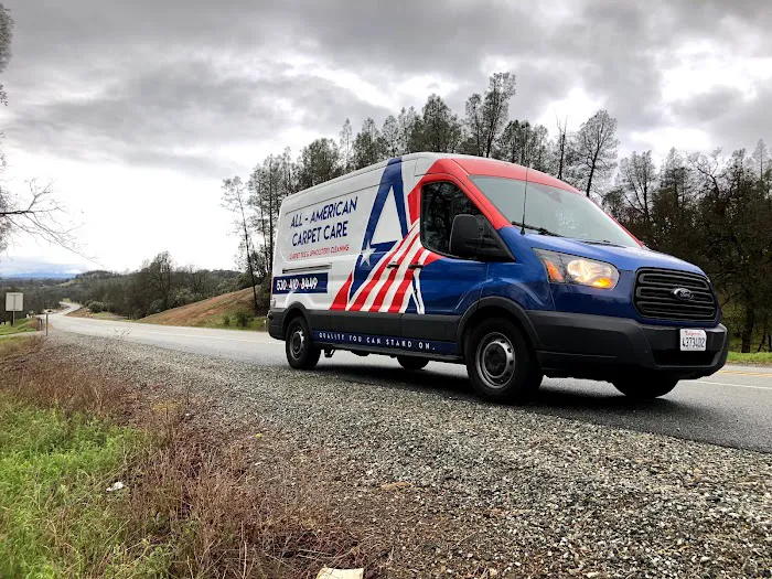 All-American Carpet Care Picture 9