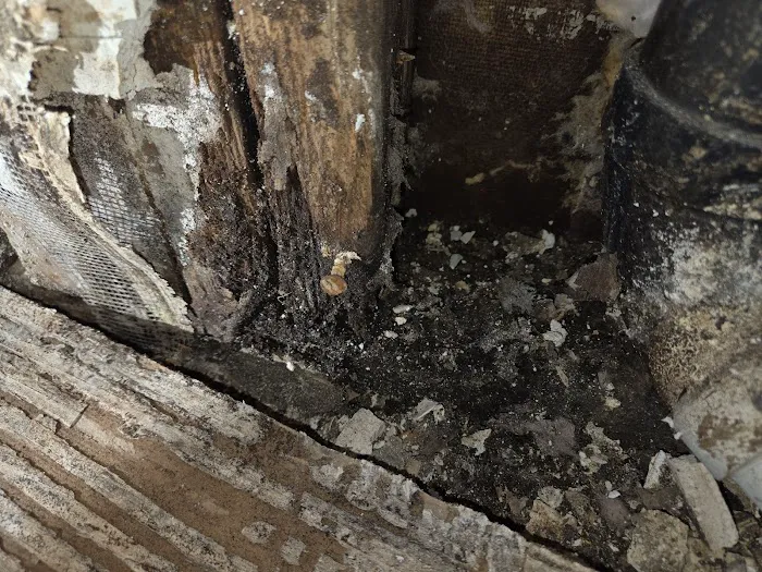 Paul Davis of Greater Reno and Tahoe, NV Picture 4