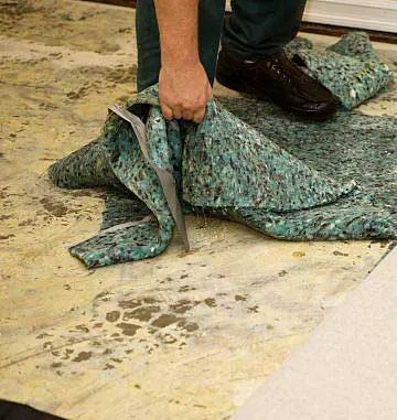 All Water Damage Restoration Of Reno Picture 5